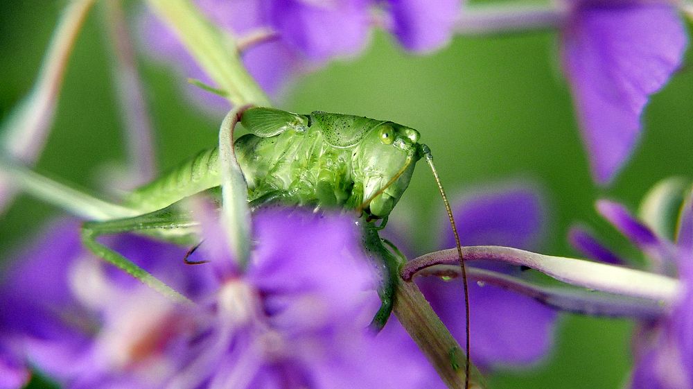 Photograph by Алексей Чернов