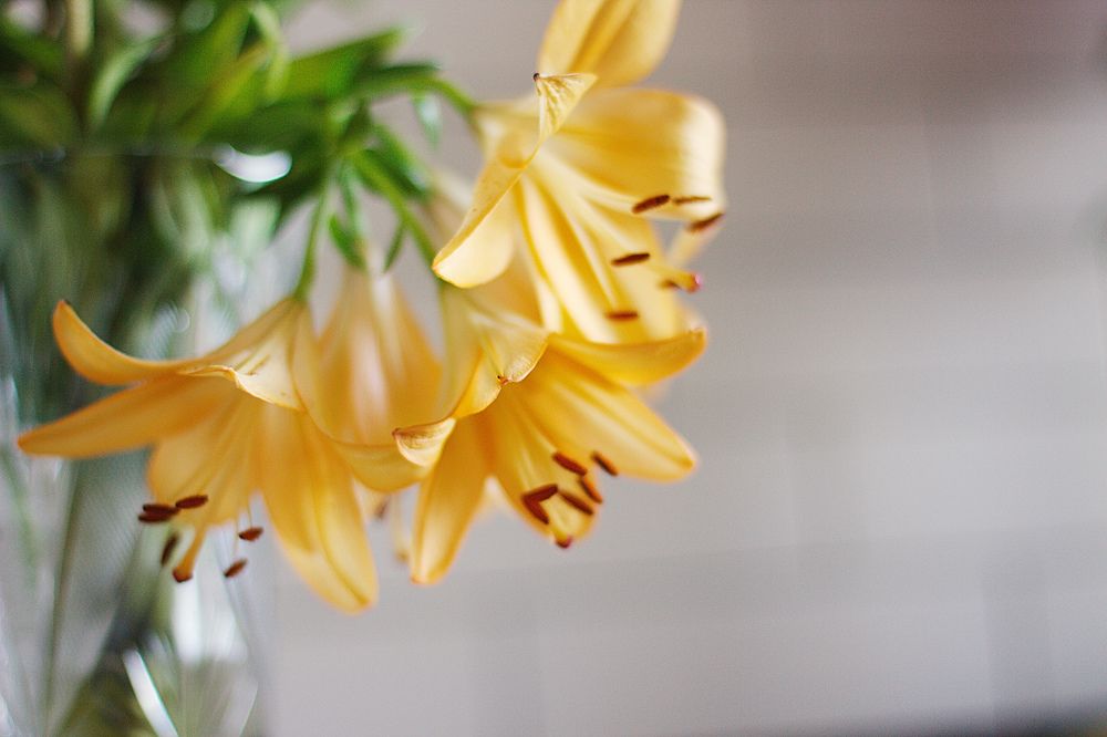 Photograph by Марина Морозова