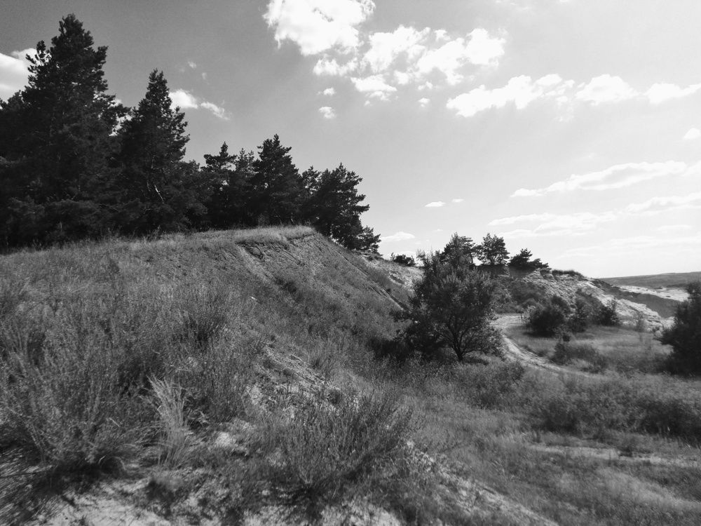 Photograph by Анна Матецкая