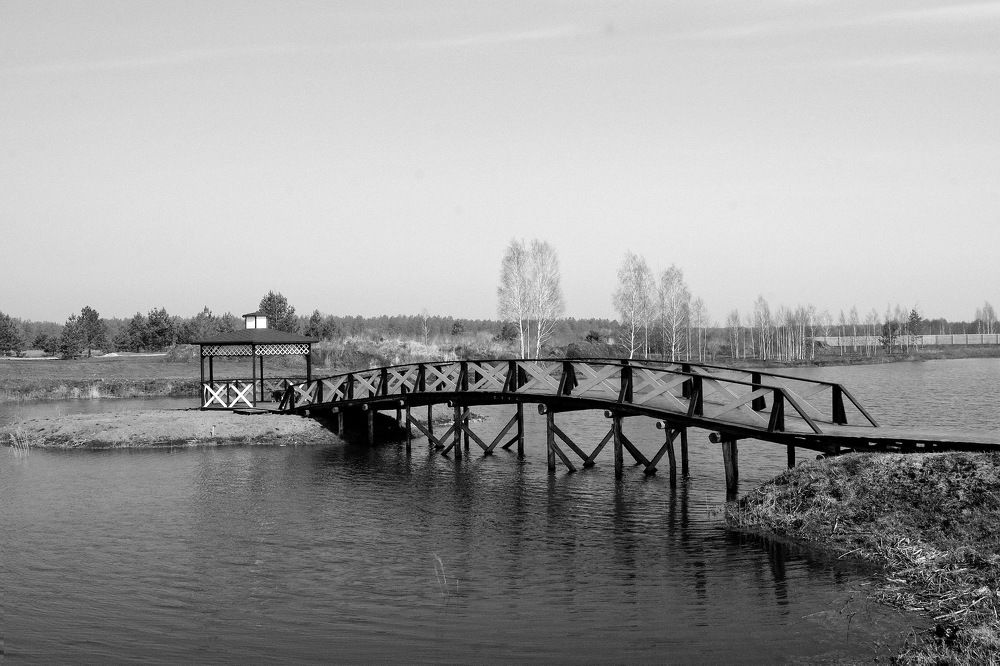 Photograph by Ирина Федичева