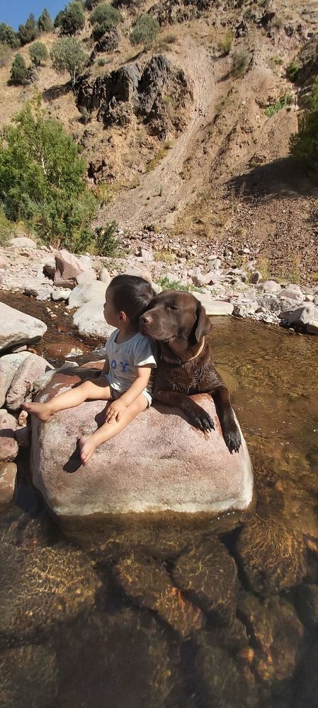 Photograph by УКТАМ ДЖАЛАЛОВ