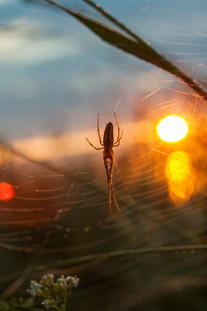 Photograph by Надежда