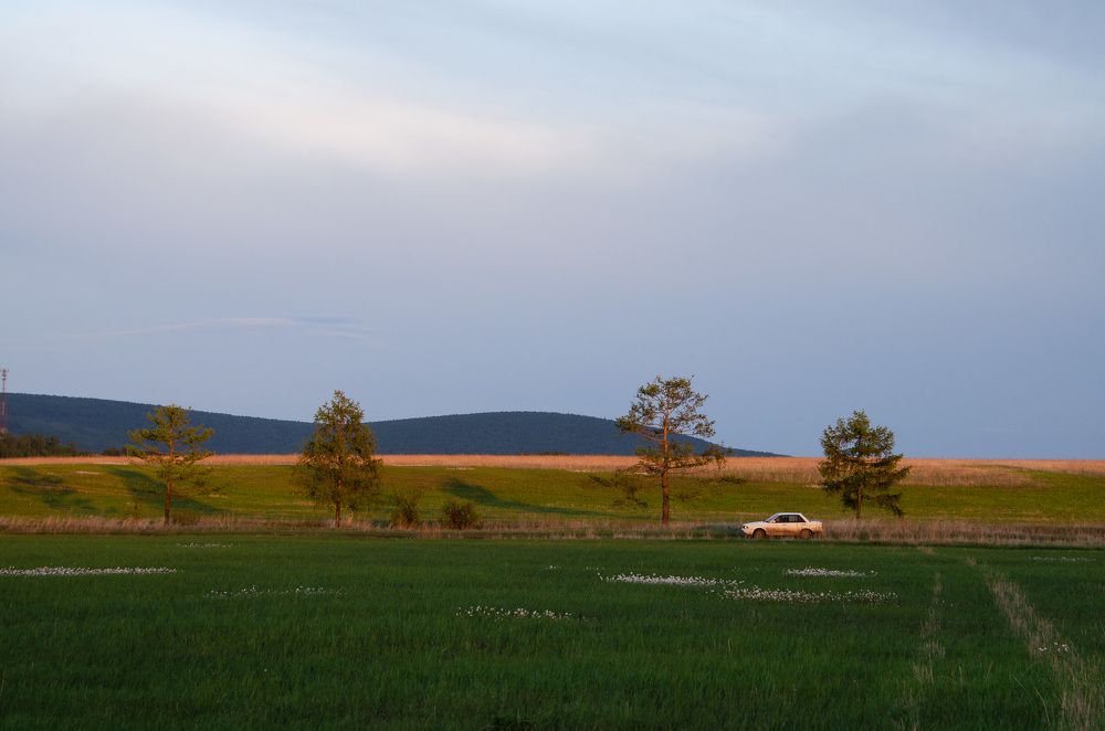 Photograph by Дмитрий Зуев