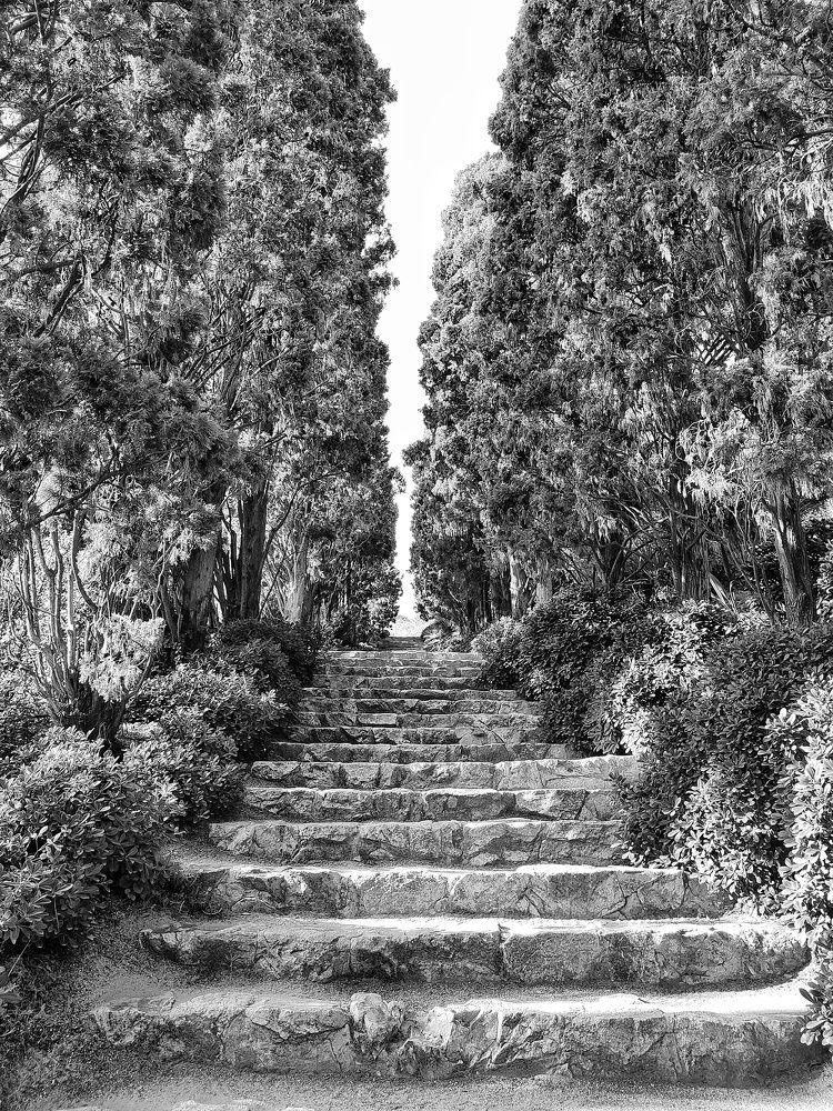 Photograph by Надежда