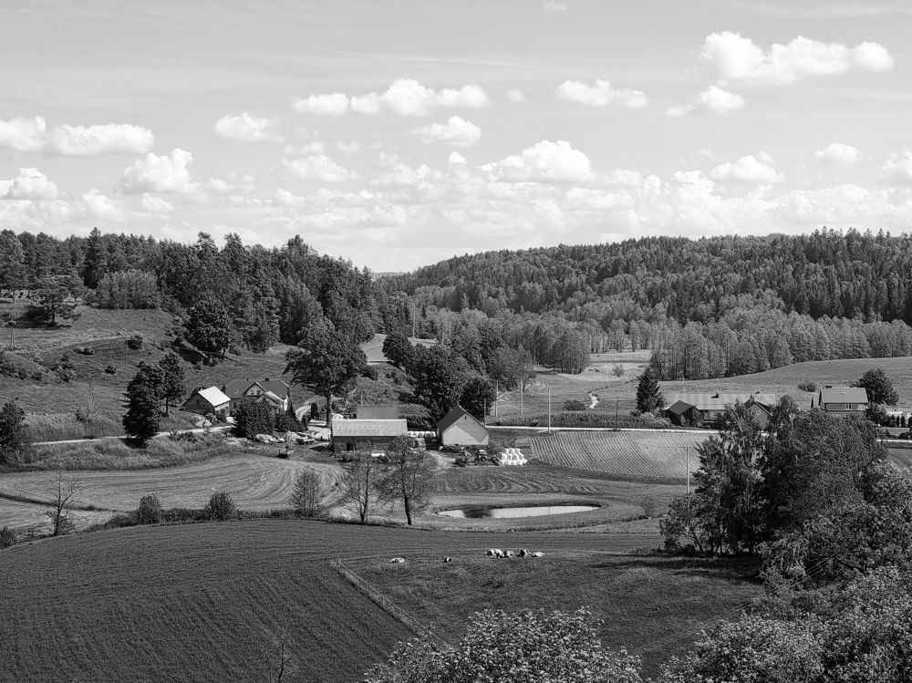 Photograph by Rolandas Valančauskas