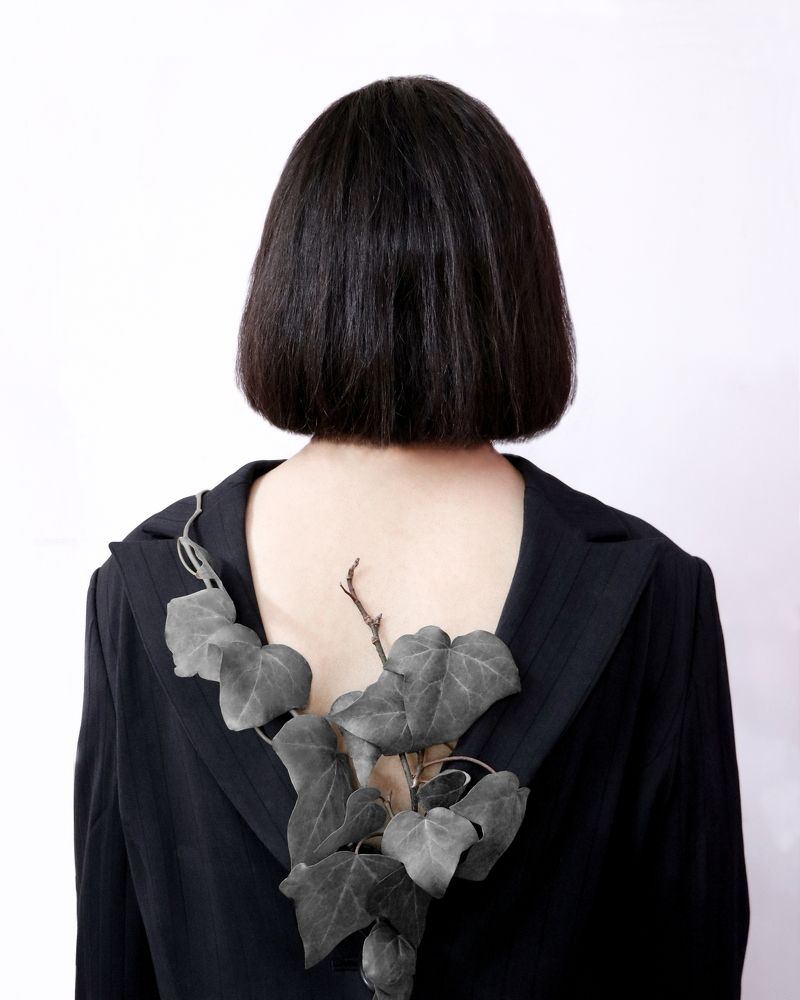 Photograph by fateme farahi