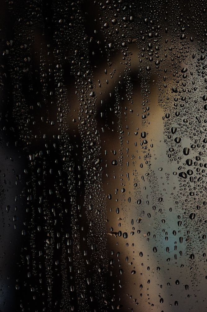 Photograph by Evgeniya Gribova