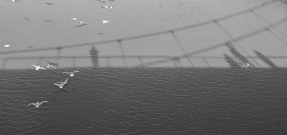 Photograph by Mahdi ghanbari