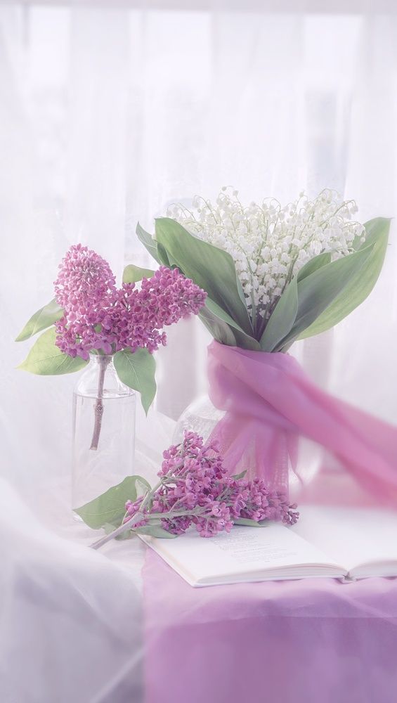 Photograph by Елена Пасажицкая