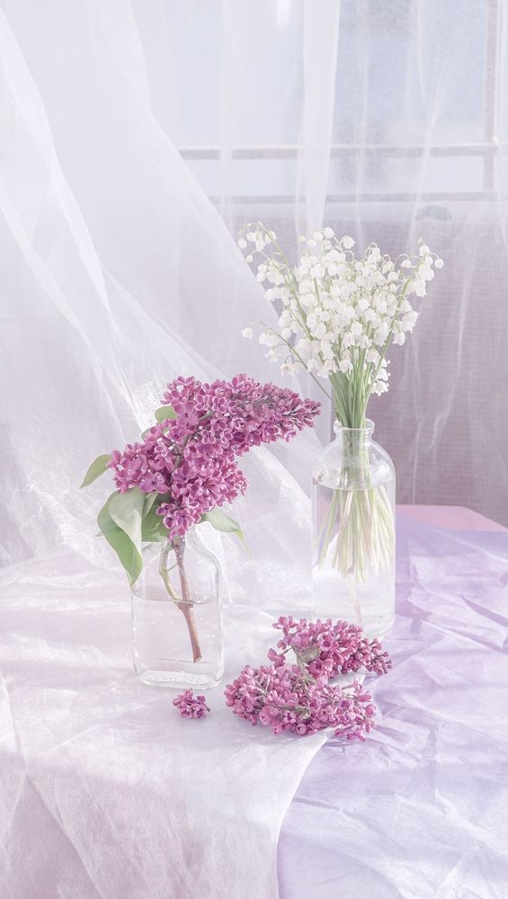 Photograph by Елена Пасажицкая