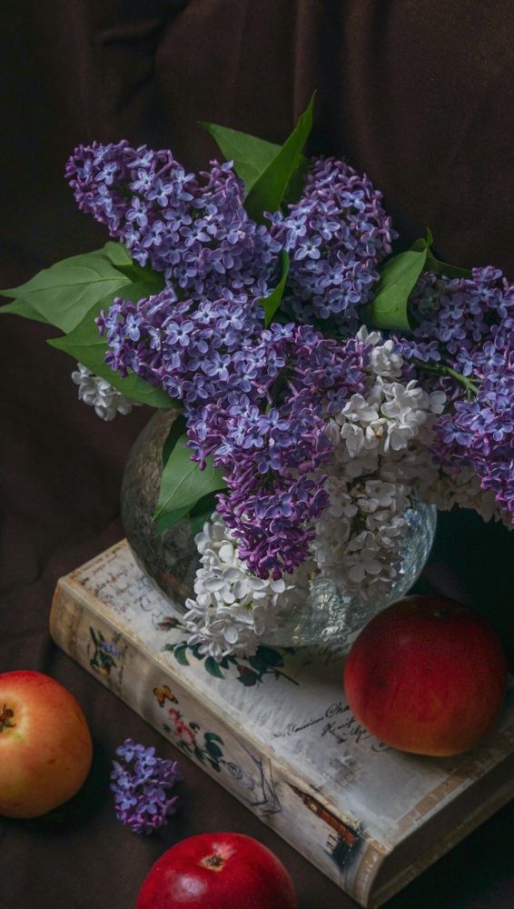 Photograph by Елена Пасажицкая