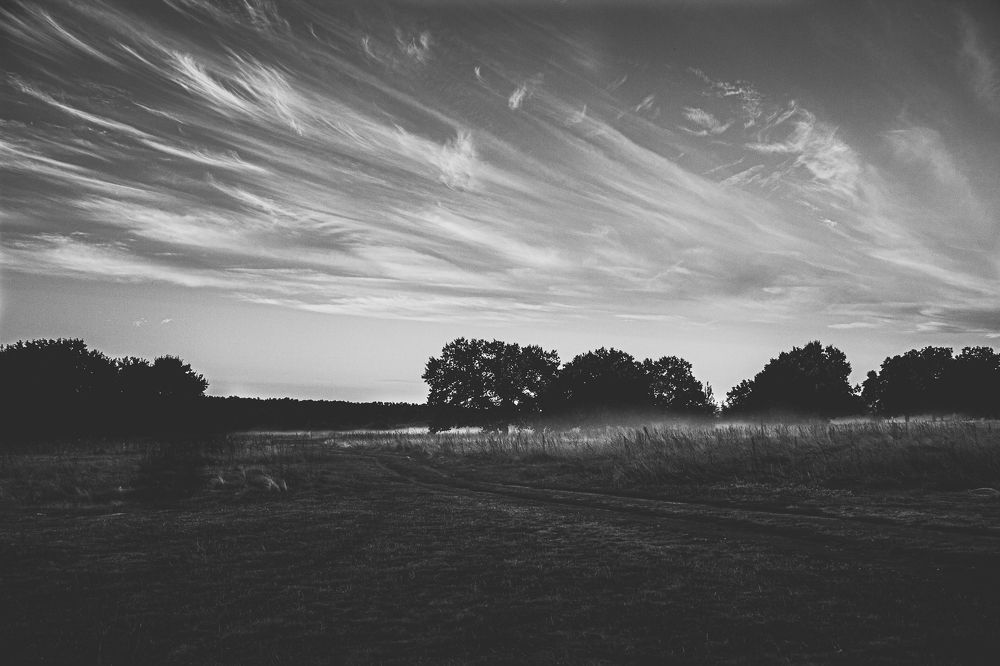 Photograph by Evgeniya Gribova