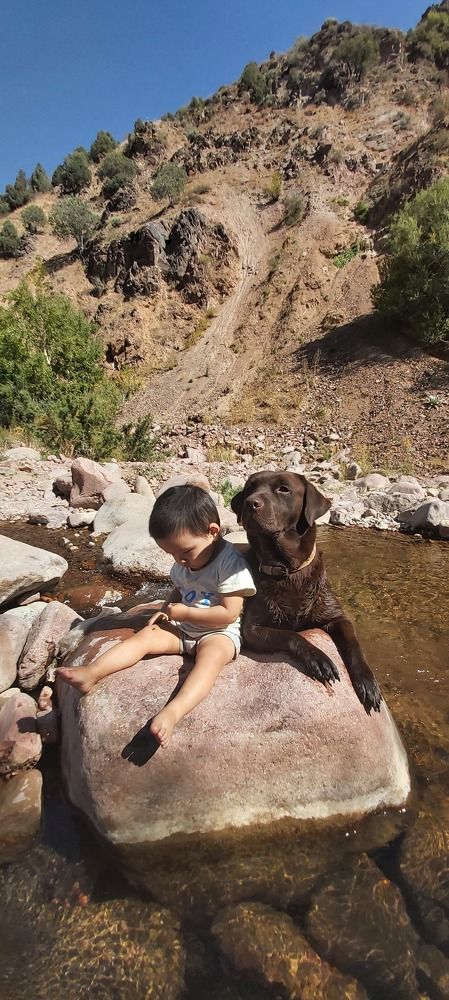 Что это...? За несколько секунд до укуса осы...!