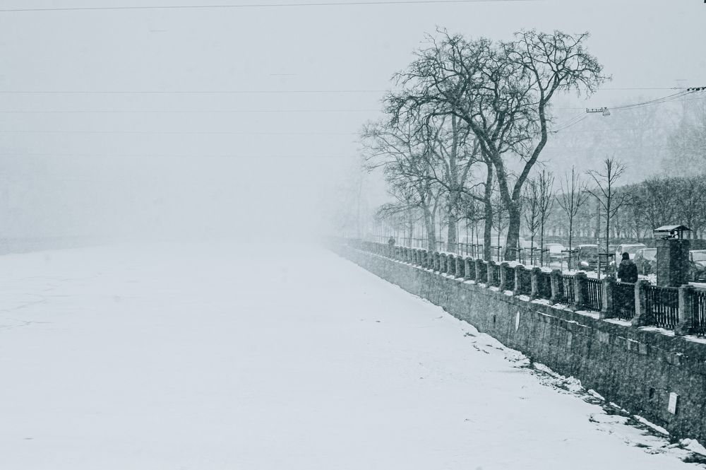 Photograph by Сафронова Любовь