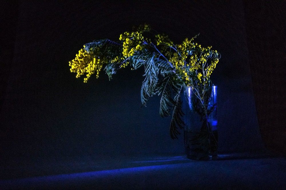 Photograph by Алексей Логинов