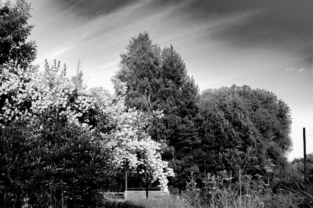 Photograph by Эльвира Халимулина