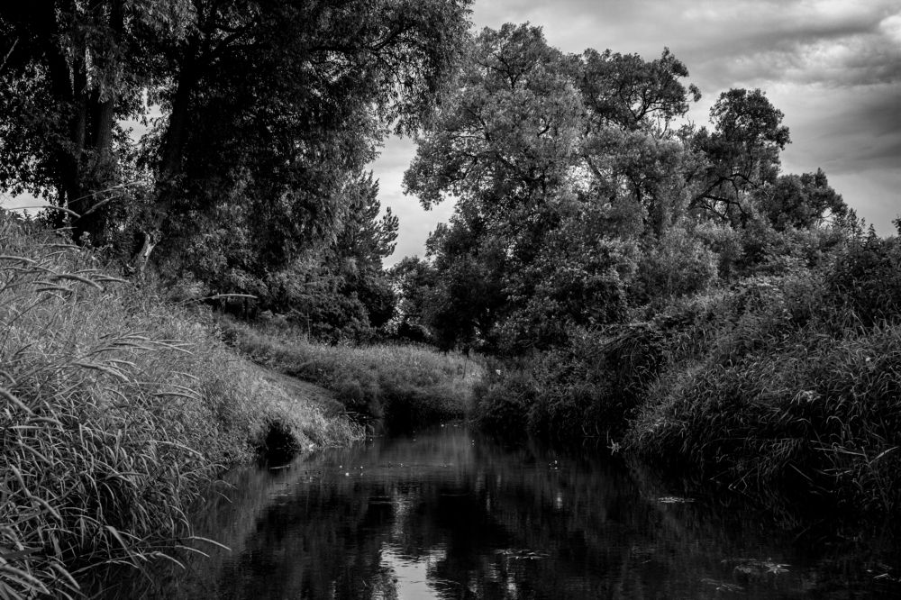 Photograph by Эльвира Халимулина