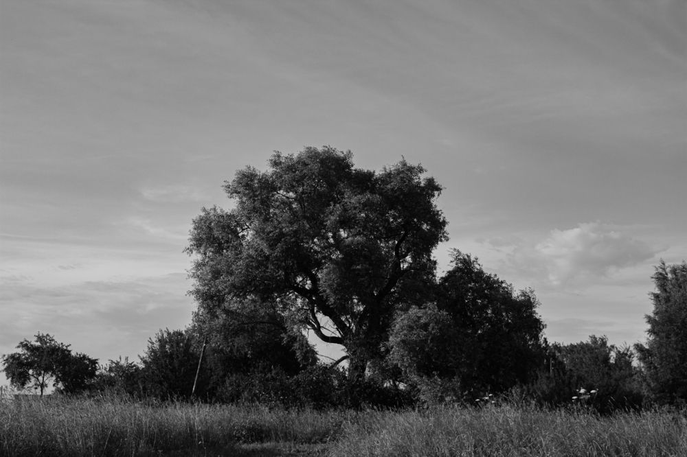 Photograph by Эльвира Халимулина