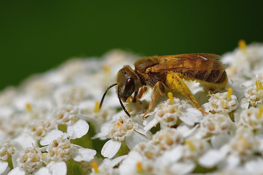Photograph by Корнейчук Игорь