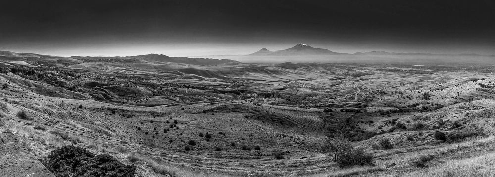 Photograph by ahmed Hassan