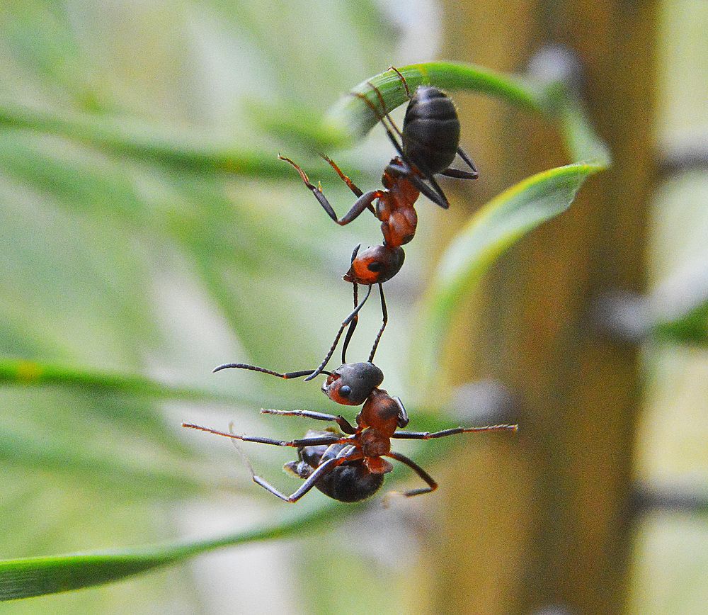 Держись, братец.