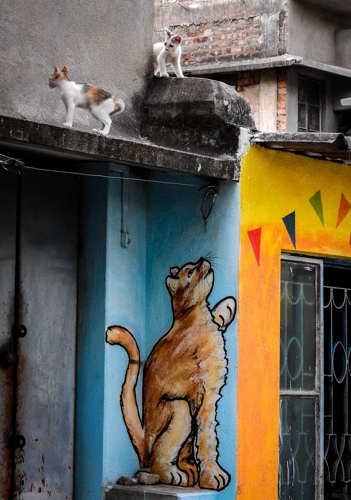 Connection between mother and childrens