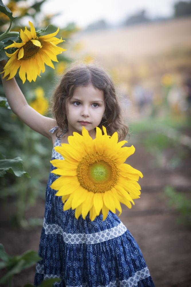 Фотография автора Alex Lerner