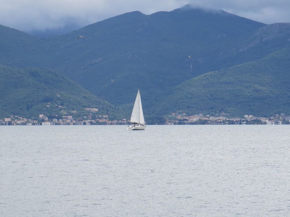 Photograph by ЭЛЬМИРА  ИСМАИЛОВА