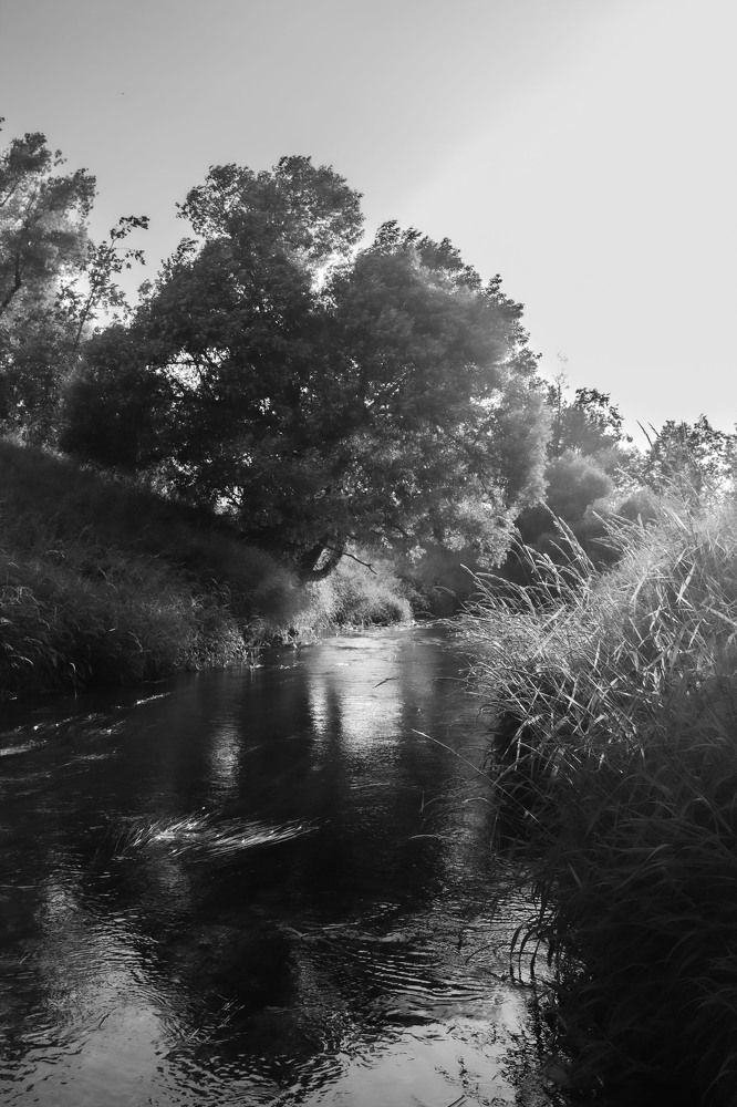 Photograph by Эльвира Халимулина