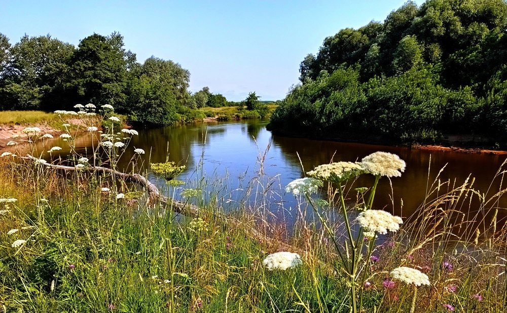 Photograph by леонид натапов