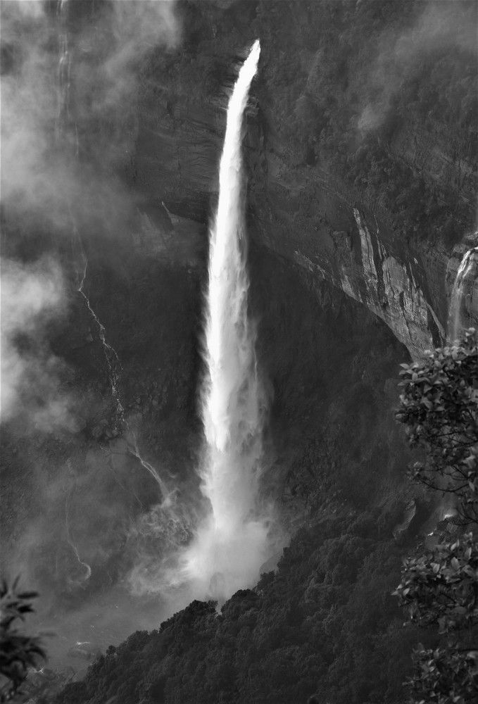 Photograph by Kushal Sharma