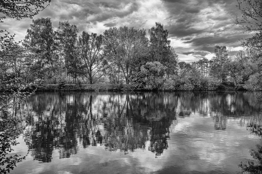 Photograph by Adrian Sararu