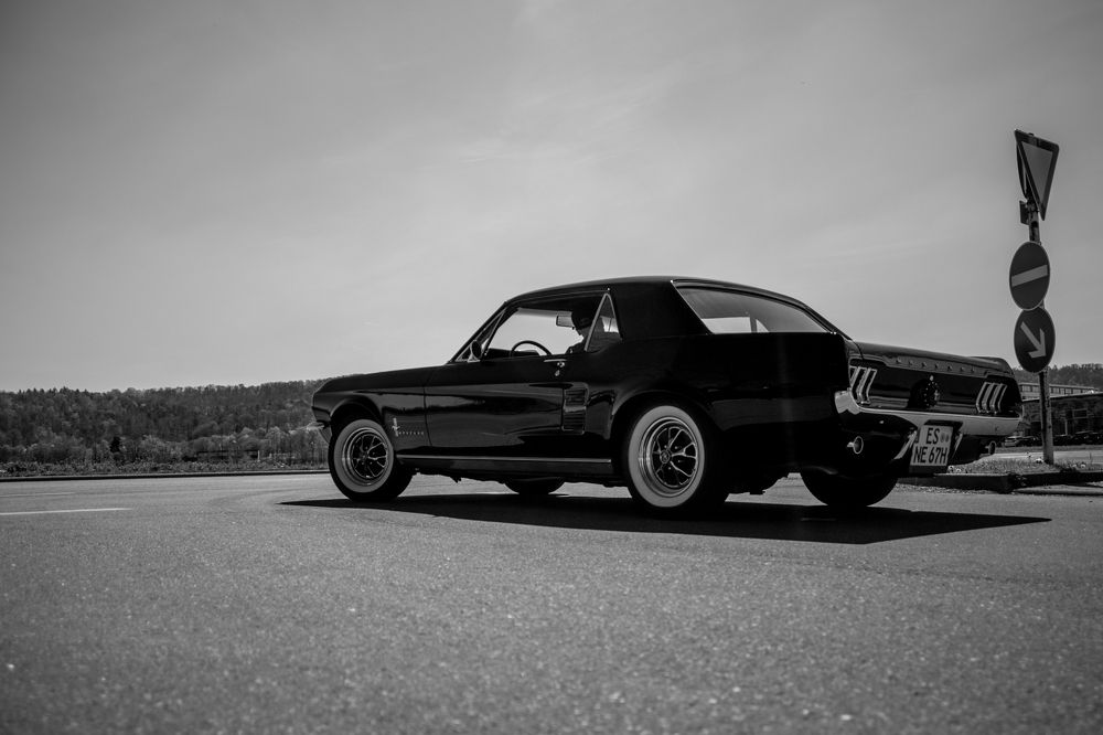 Photograph by Adrian Sararu