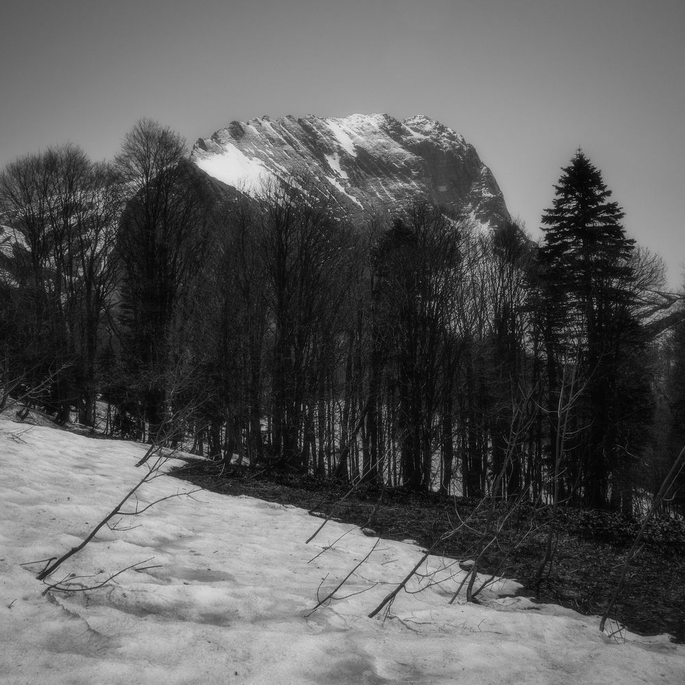 Photograph by Антон Литвин