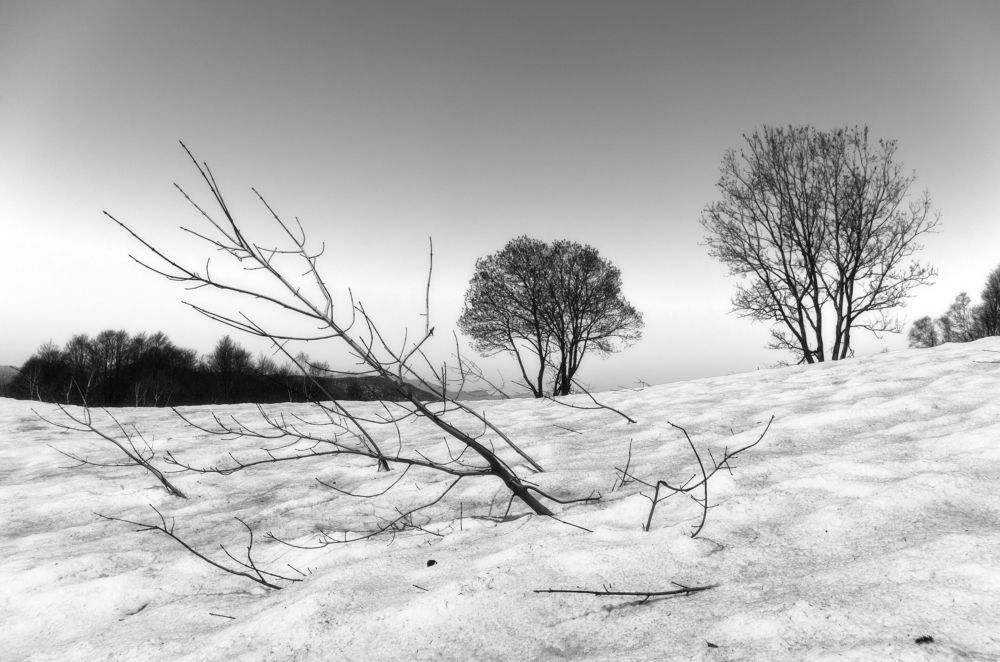 Photograph by Антон Литвин