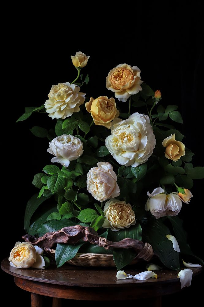 Photograph by Татьяна Кытина