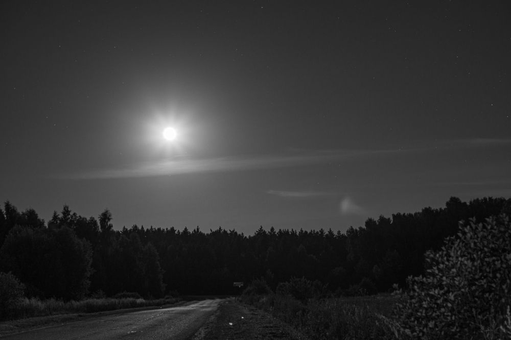 Photograph by Александр Ходакин