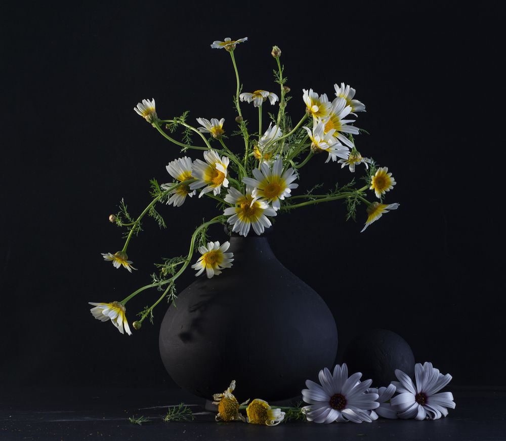 Photograph by mehmet enver karanfil