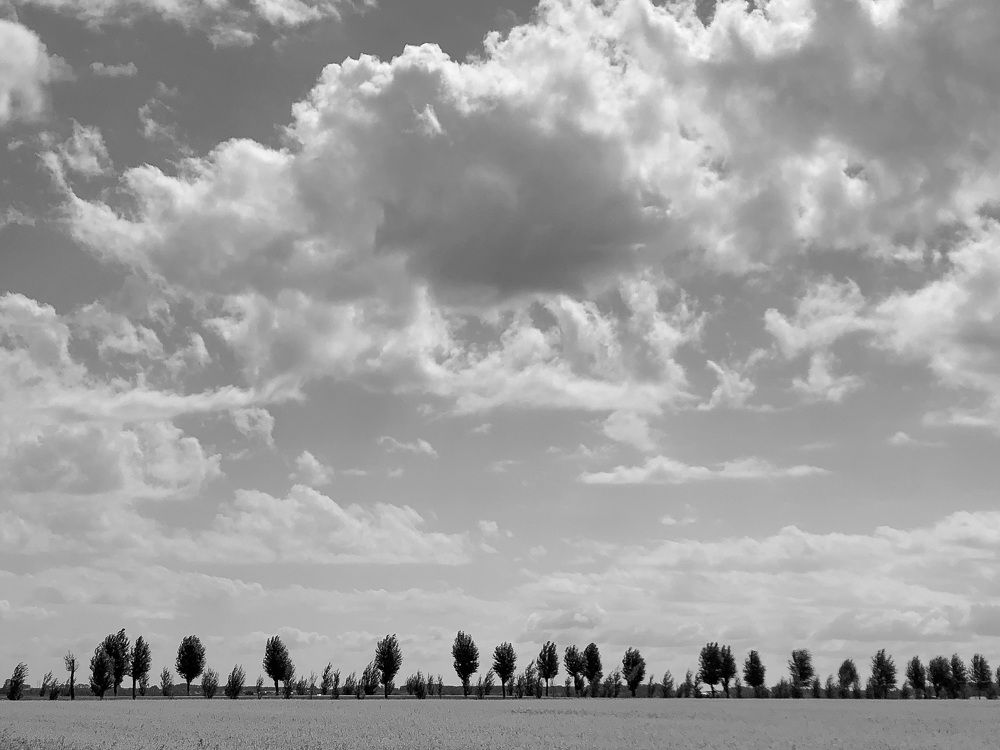 Photograph by Юлия Ерофеева