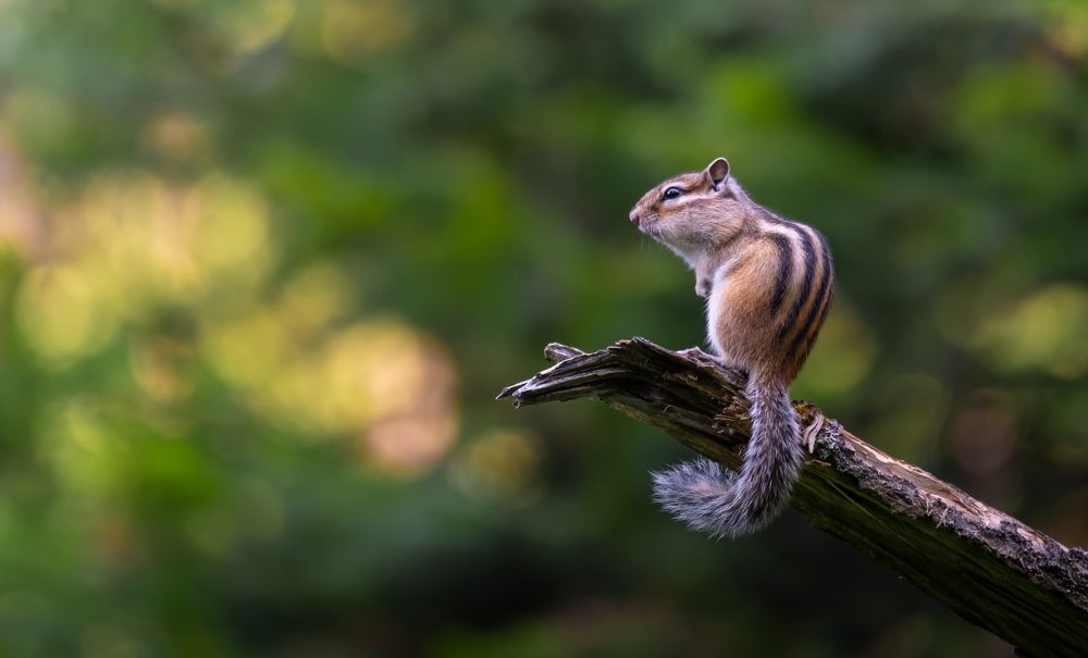 Photograph by Павел Петухов