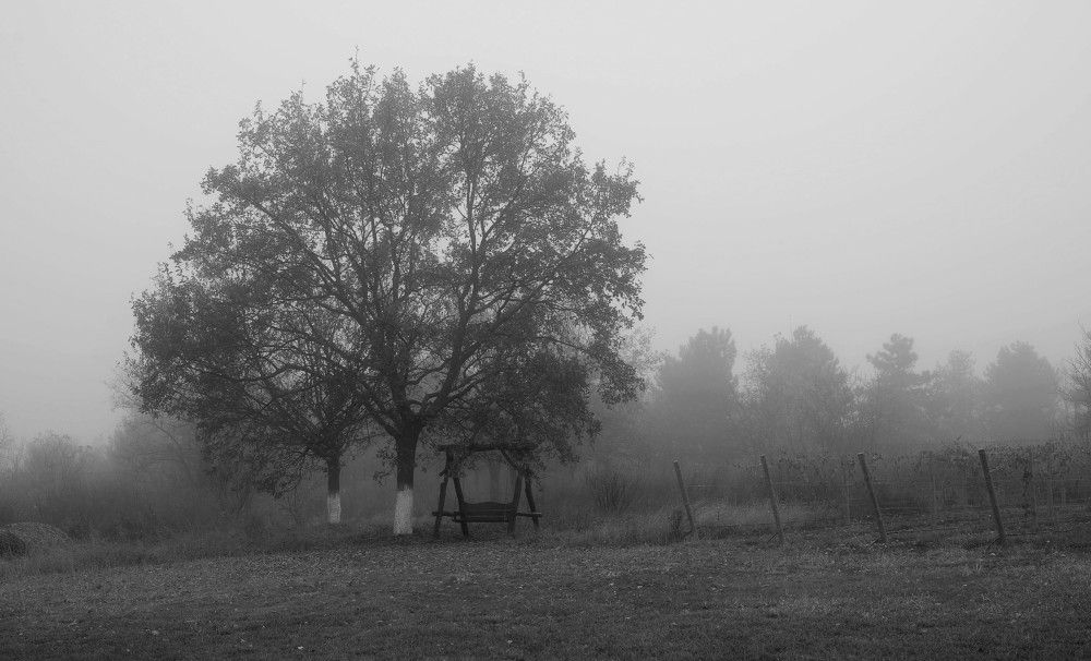 Photograph by Ous Cornel