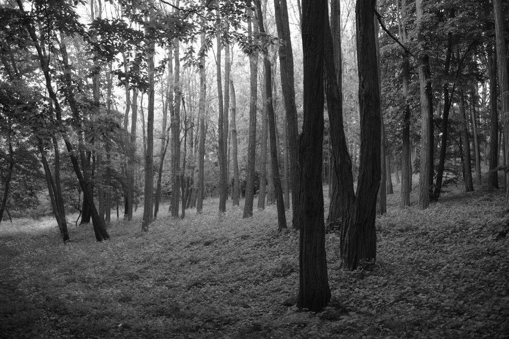 Photograph by Ous Cornel