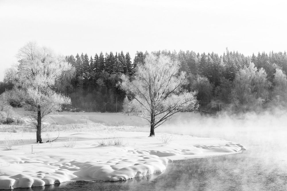 Photograph by Александр Шандов