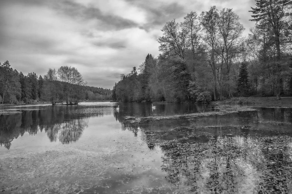 Photograph by Adrian Sararu