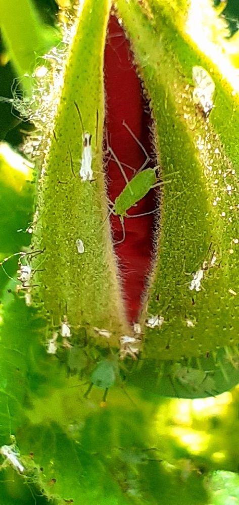 Photograph by Евгения Ульянова