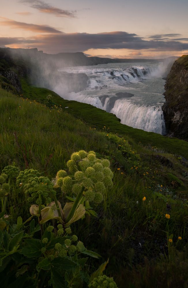 Photograph by Ruzena Bendova