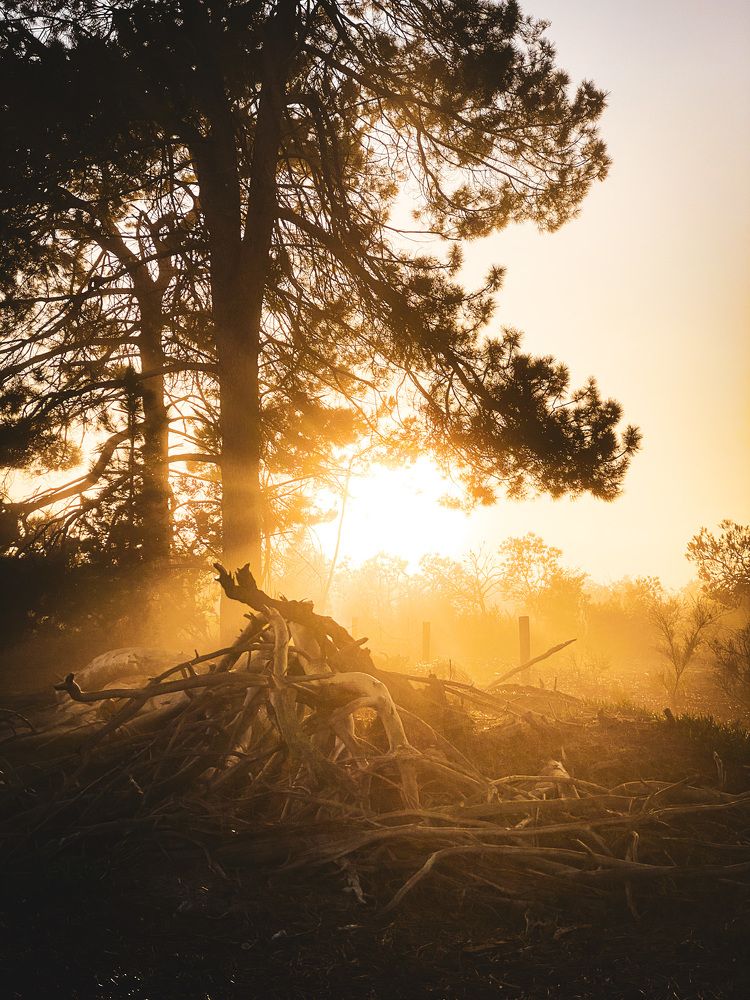 Photograph by Kaori Burt