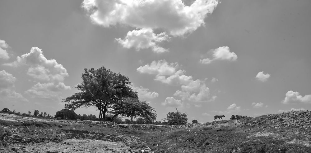 Photograph by Jyotirmay Yadav