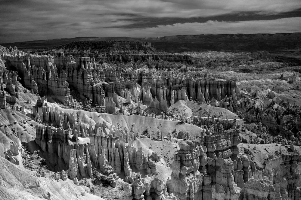 Photograph by Morring David