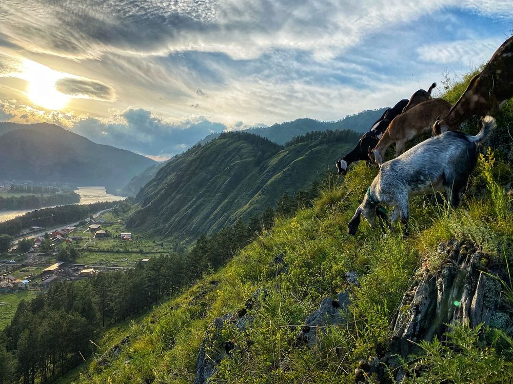 Photograph by Мария Поливода